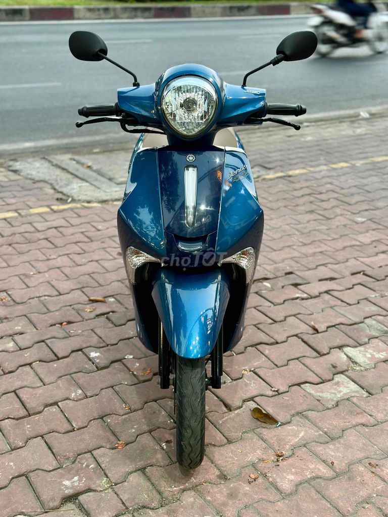 GÓP 2019 - ảnh 2