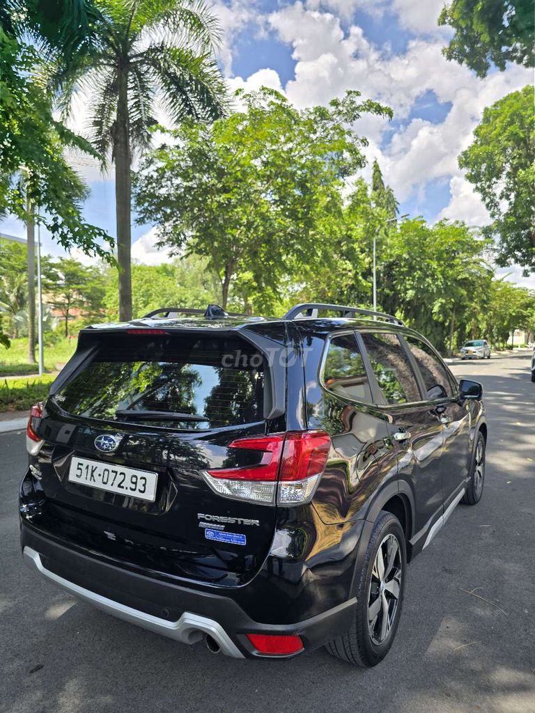 Subaru Forester - ảnh 4