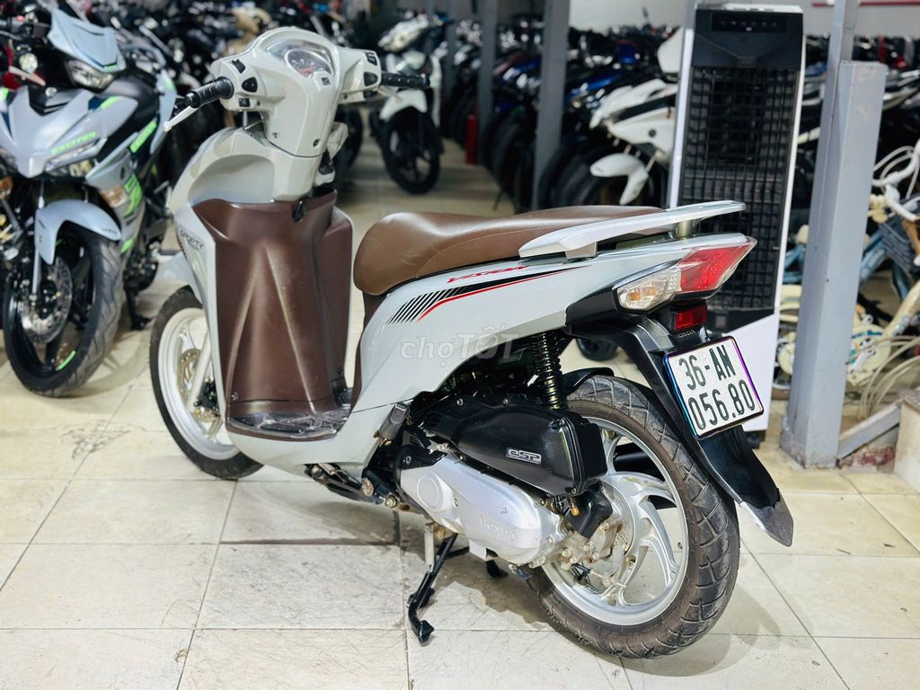 XE M 2019 - ảnh 4