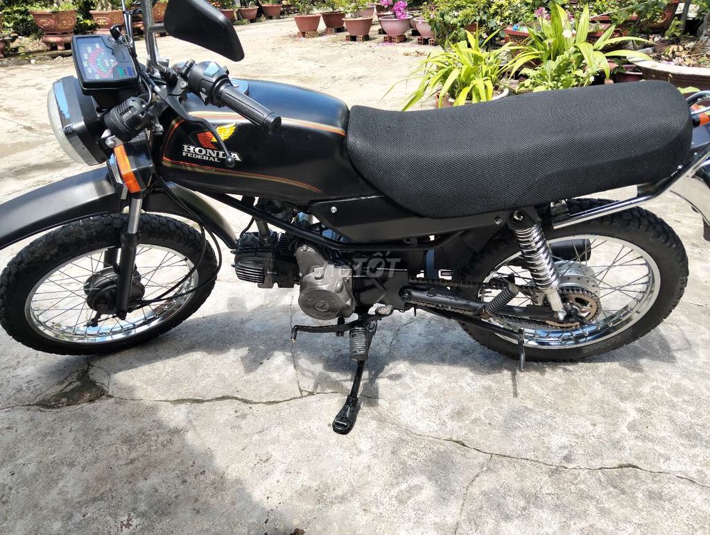 Win 1998 - ảnh 1