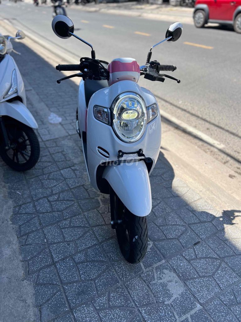 Honda Scoopy 2021 - ảnh 5
