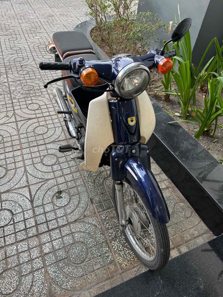 Honda Cup 2020 - ảnh 2
