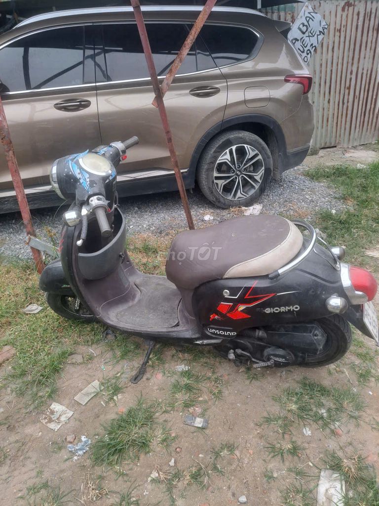 Xe m 2020 - ảnh 1