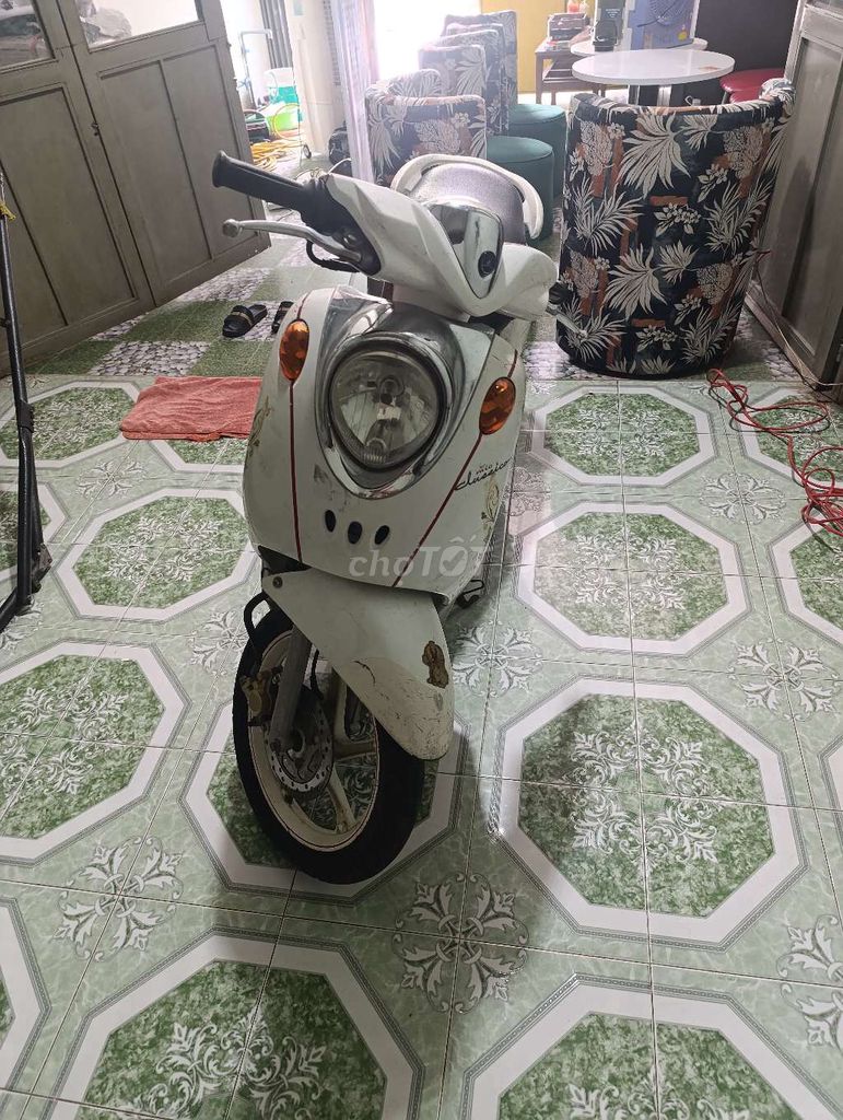 Yamaha Classico 2010 - ảnh 1