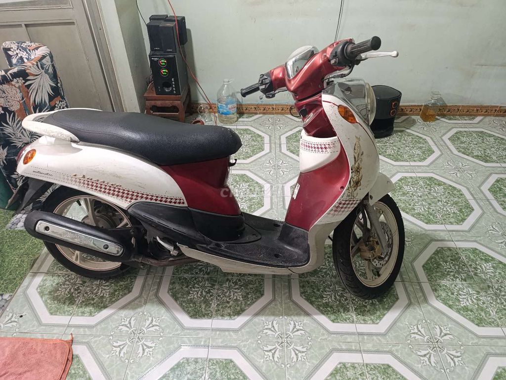 Yamaha Classico 2010 - ảnh 2