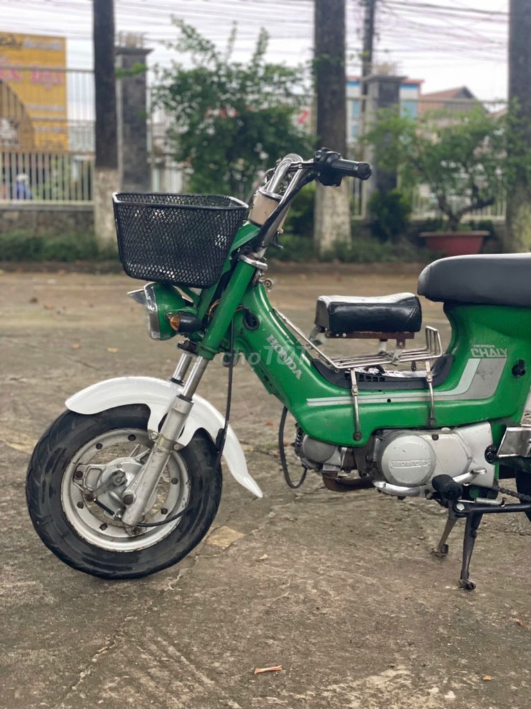 Honda Chaly 1994 - ảnh 3