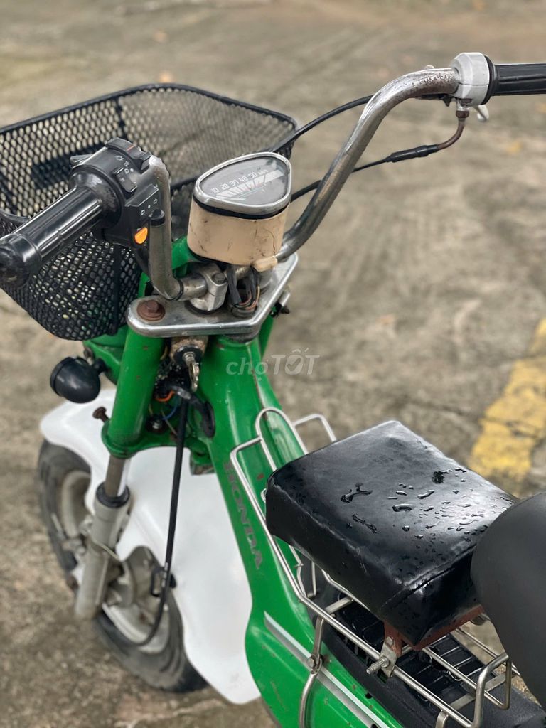 Honda Chaly 1994 - ảnh 5