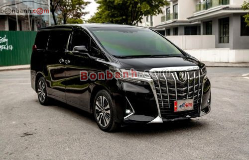 Toyota Alphard Luxury Executive Lounge 2020 - ảnh 2