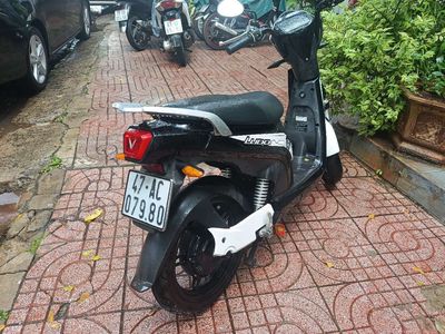 Xe m 2024 - ảnh 1