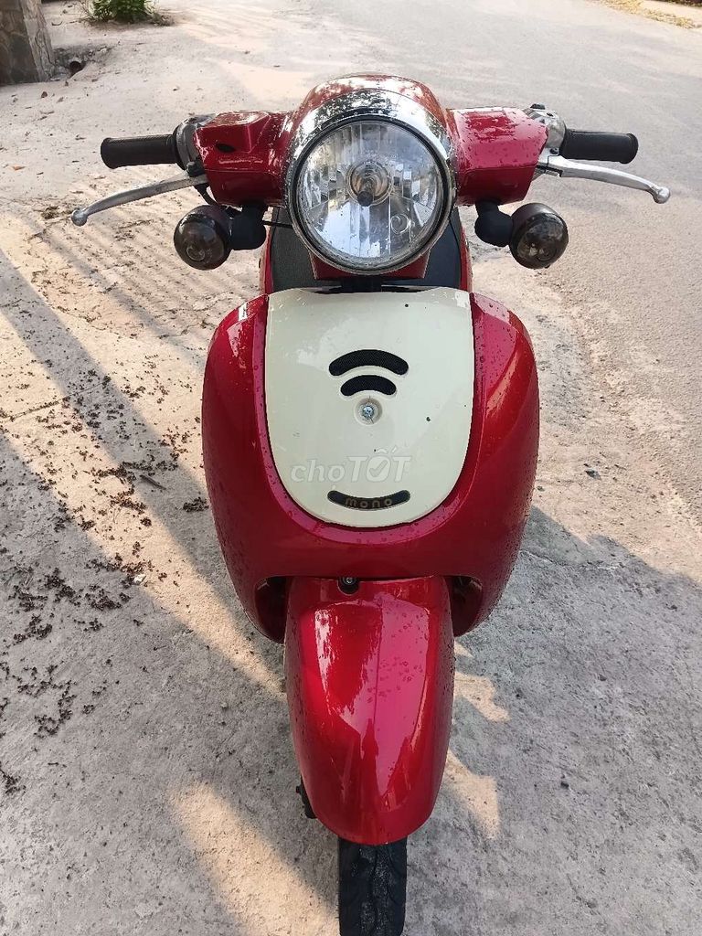 Tay Ga 2019 - ảnh 1