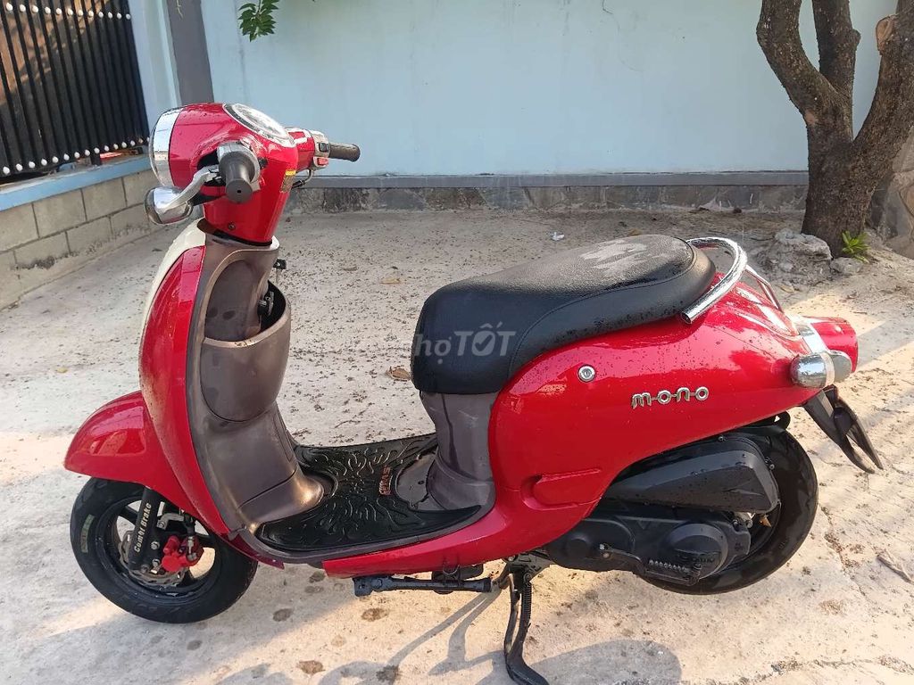 Tay Ga 2019 - ảnh 3