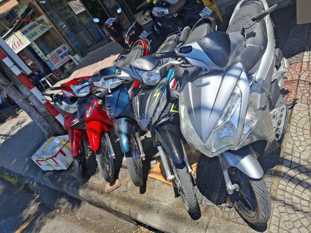 Honda 2009 - ảnh 1