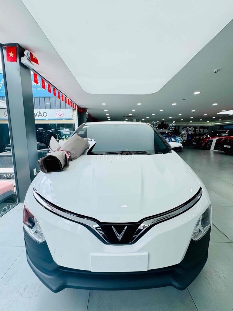 VinFast VF5 Plus - ảnh 2