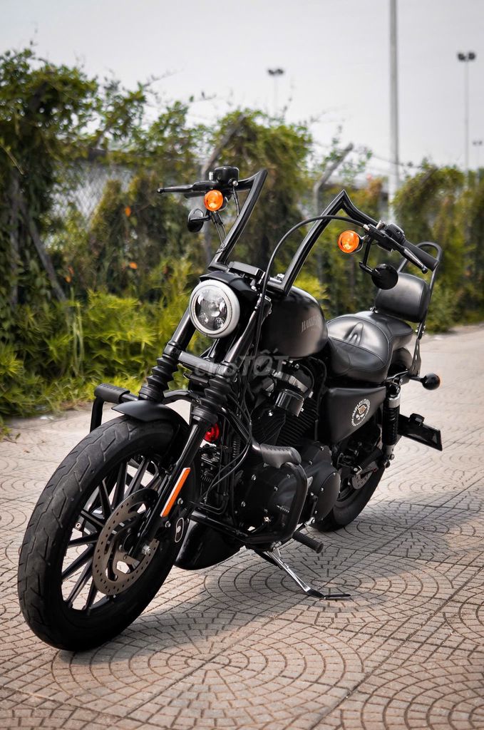 Harley 2016 - ảnh 1