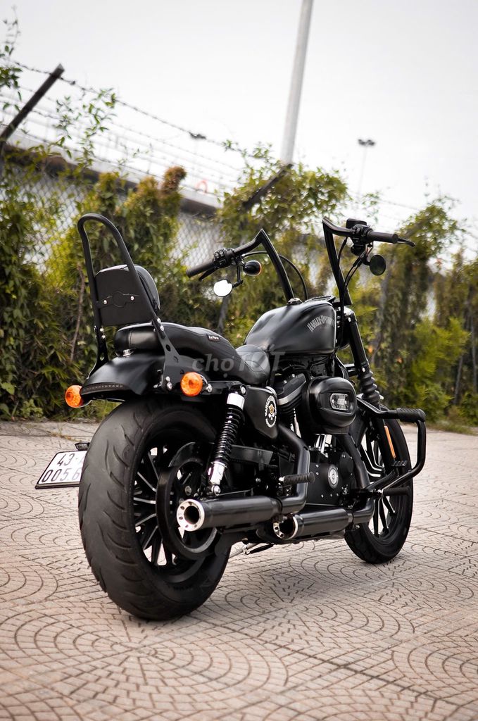 Harley 2016 - ảnh 3