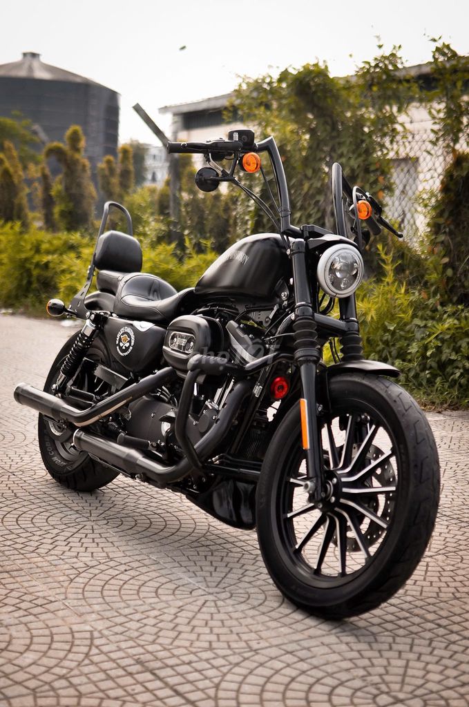 Harley 2016 - ảnh 4