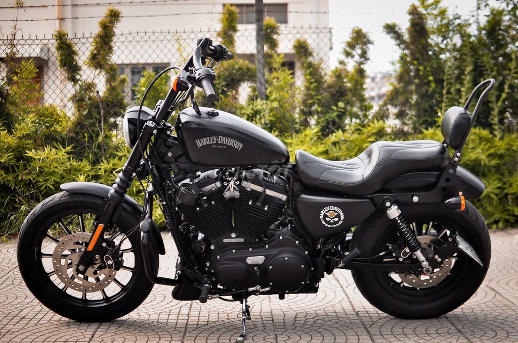Harley 2016 - ảnh 5