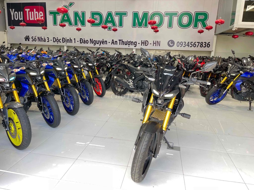 MT 2021 - ảnh 4