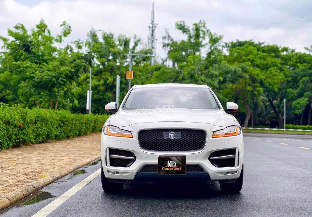 Jaguar 2019 - ảnh 1