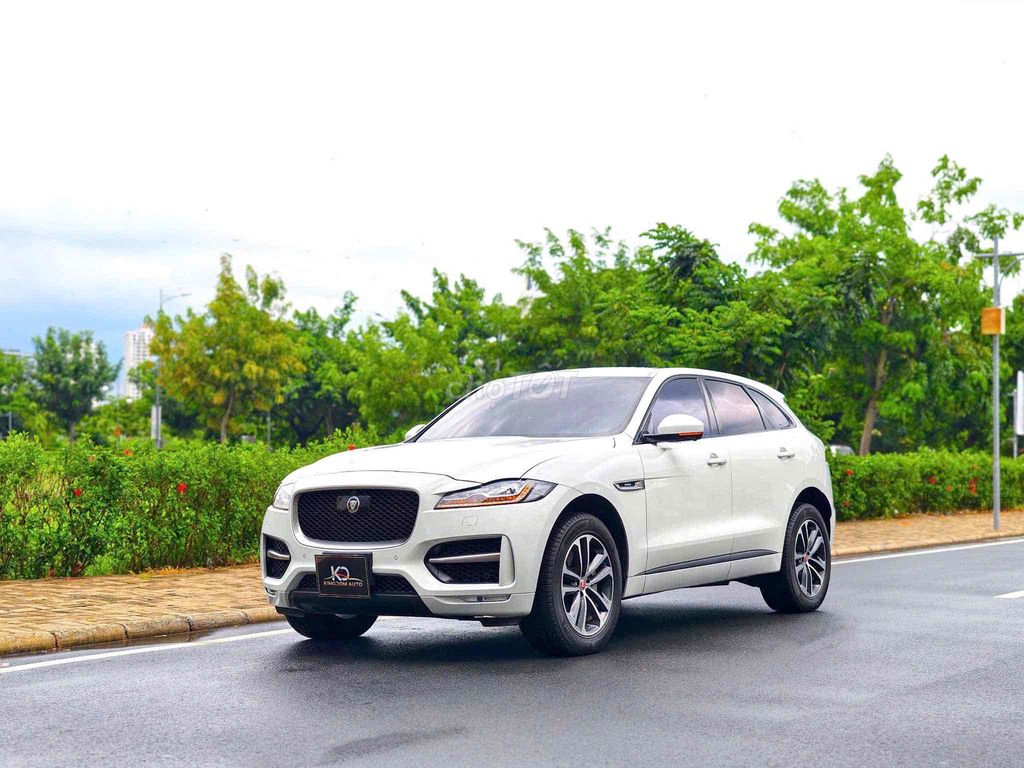 Jaguar 2019 - ảnh 3