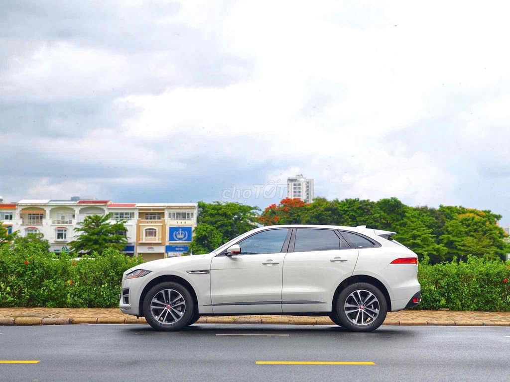 Jaguar 2019 - ảnh 4