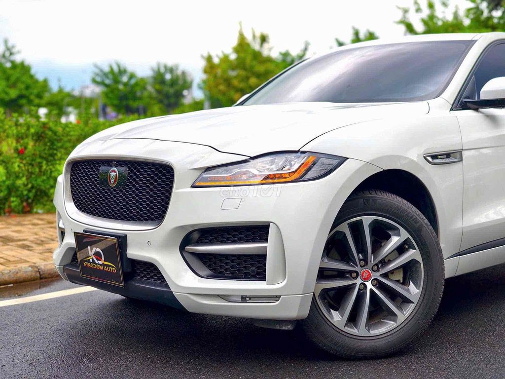 Jaguar 2019 - ảnh 5