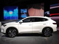 BYD Sealion 6 Premium 2026 - ảnh 1