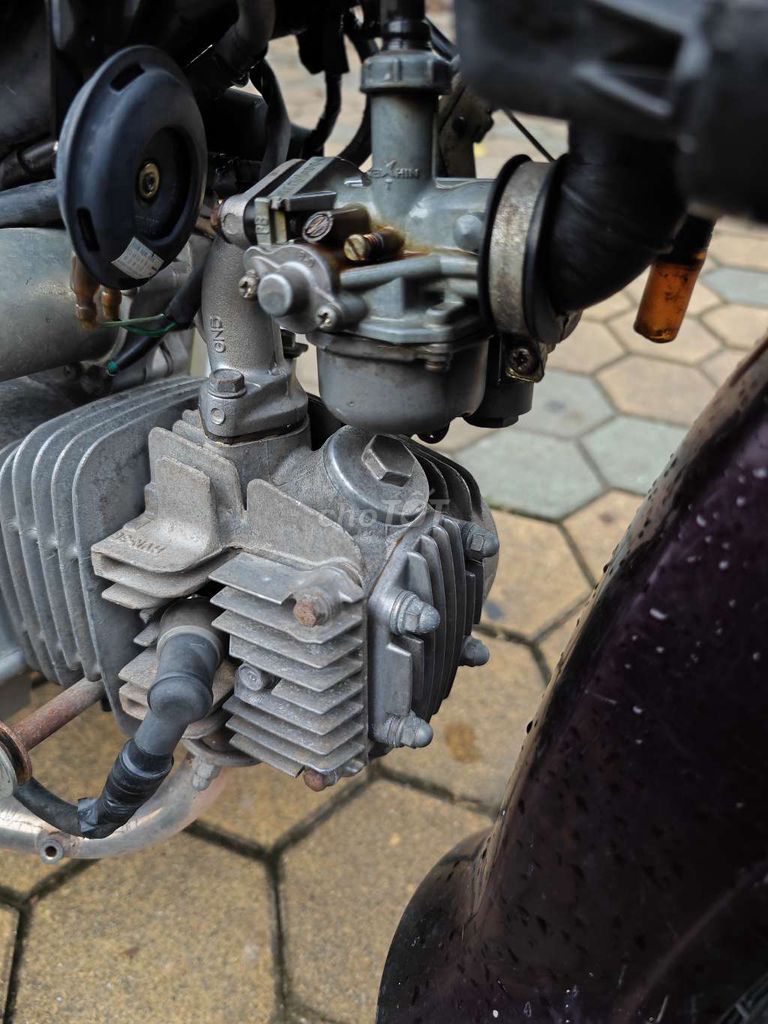 Honda Dream 2010 - ảnh 3