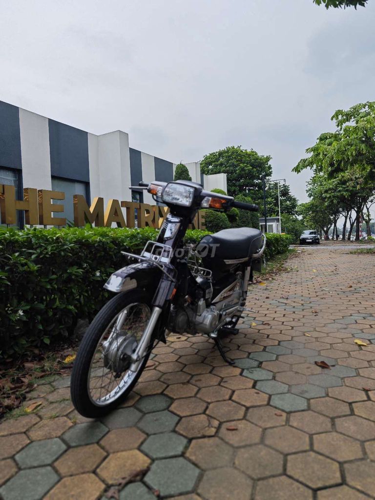 Honda Dream 2010 - ảnh 4