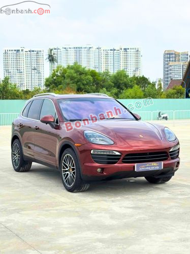 Porsche 2010 - ảnh 2