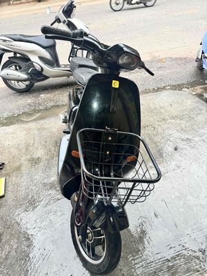 xe m 2025 - ảnh 1