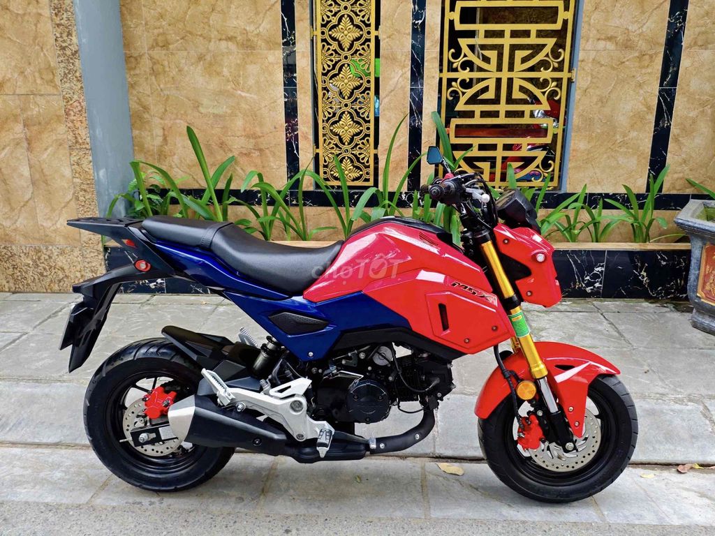 Honda MSX 2022 - ảnh 1