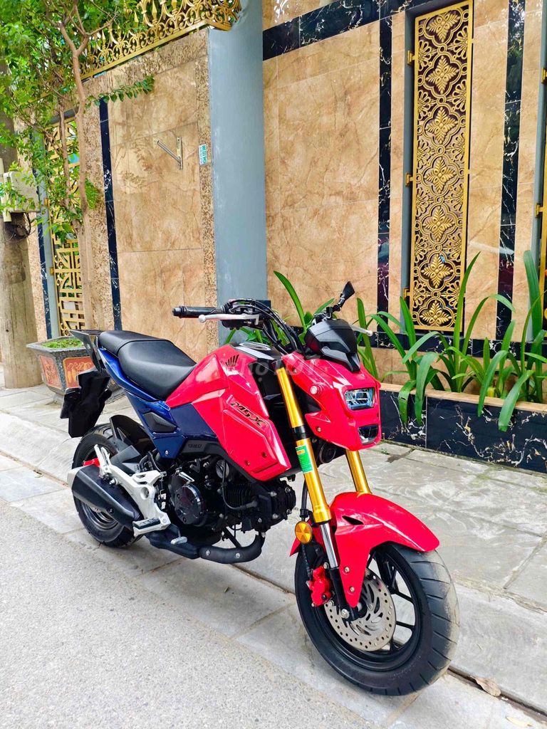Honda MSX 2022 - ảnh 5