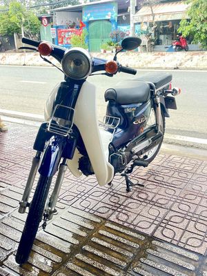 Cub 2023 - ảnh 1
