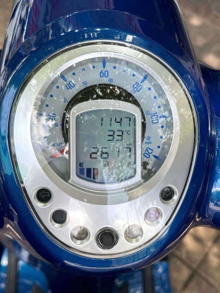 tay ga 2024 - ảnh 3