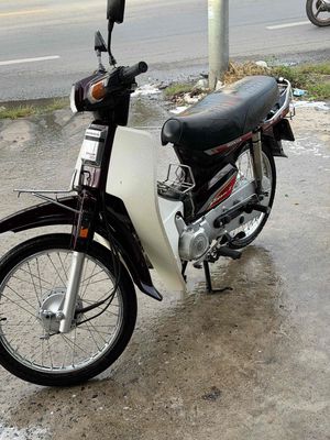Honda Dream 1999 - ảnh 1