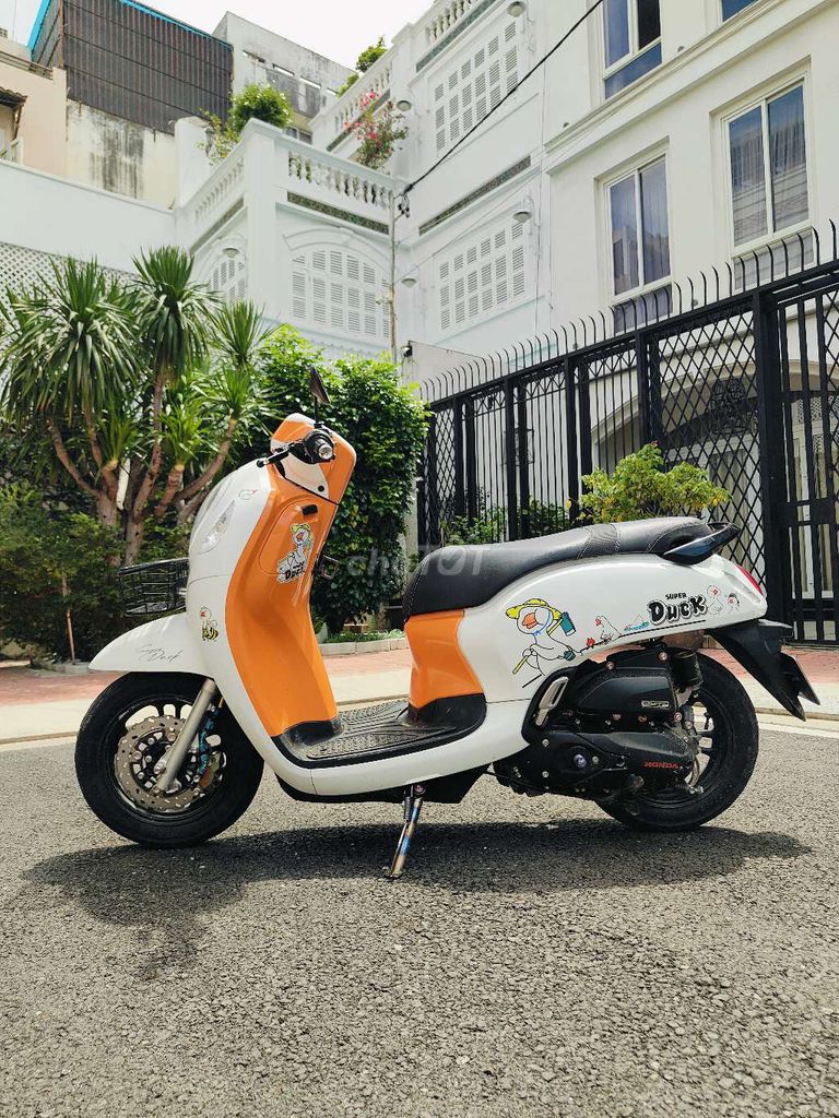 scopy 2022 - ảnh 1