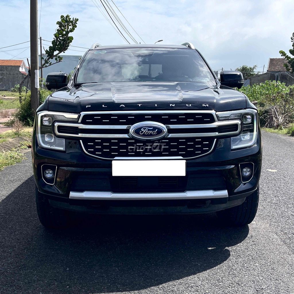 Ford - ảnh 1