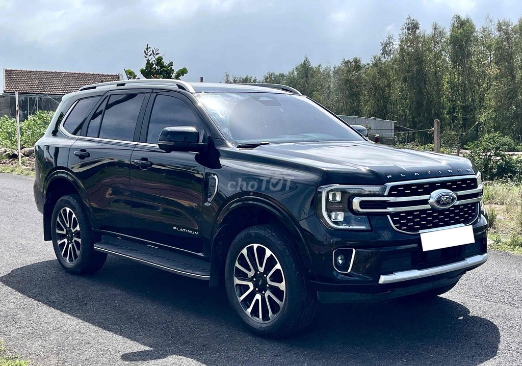 Ford - ảnh 2