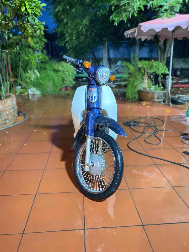 Cub Led 2021 - ảnh 3