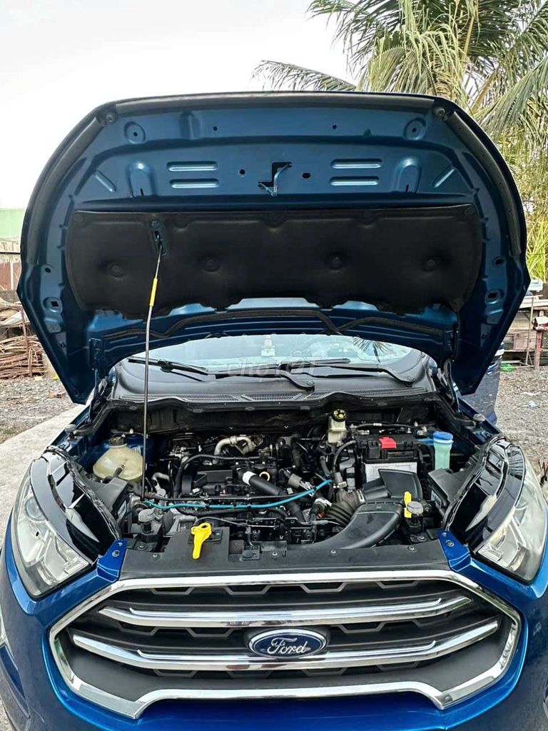 Ford 2019 - ảnh 2