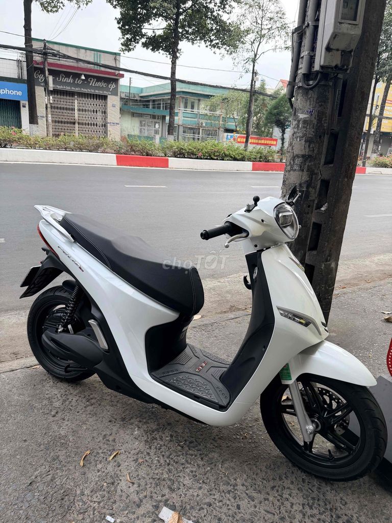 Xe m 2025 - ảnh 1