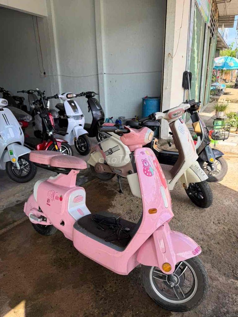 Xe m 2025 - ảnh 1