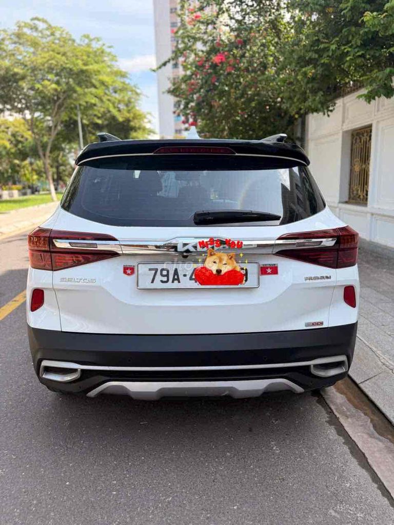 Kia Seltos 2023 - ảnh 4