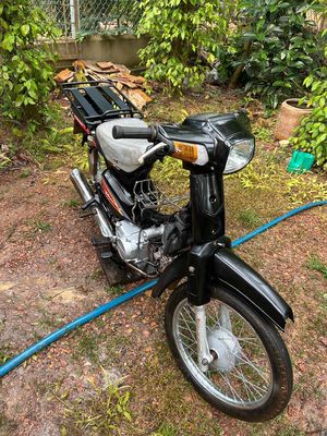 Em b 2010 - ảnh 1
