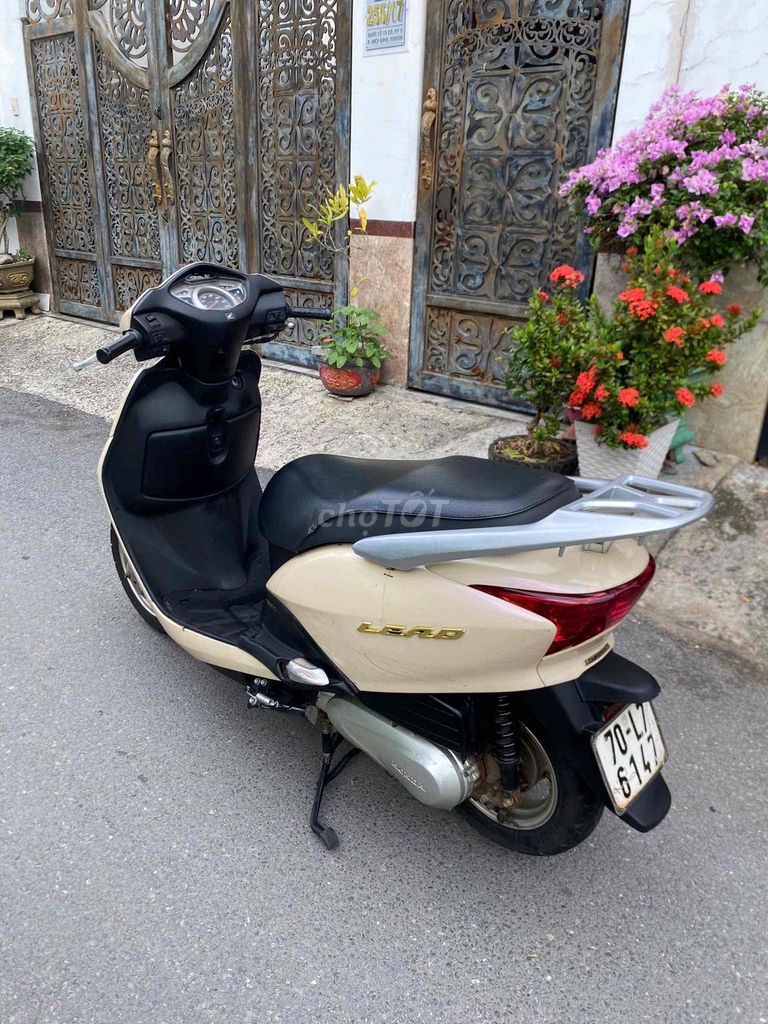 Honda Lead 2009 - ảnh 2