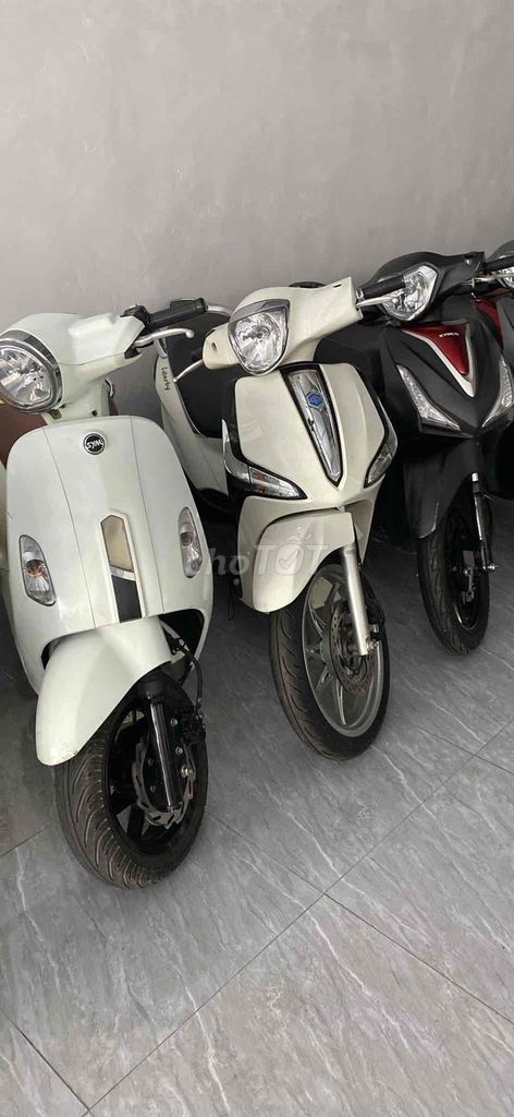 Thanh l 2024 - ảnh 1