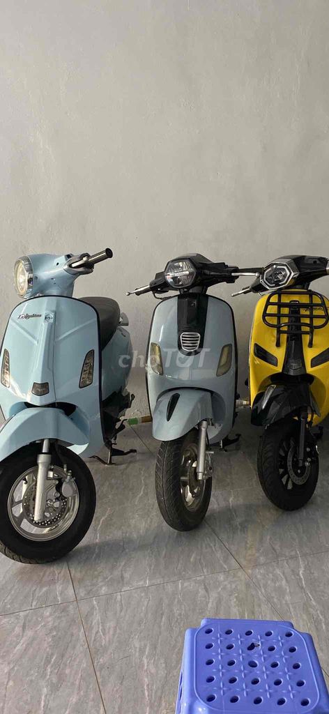 Thanh l 2024 - ảnh 2