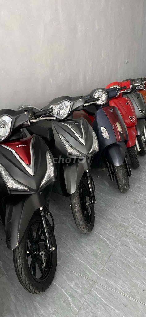 Thanh l 2024 - ảnh 3