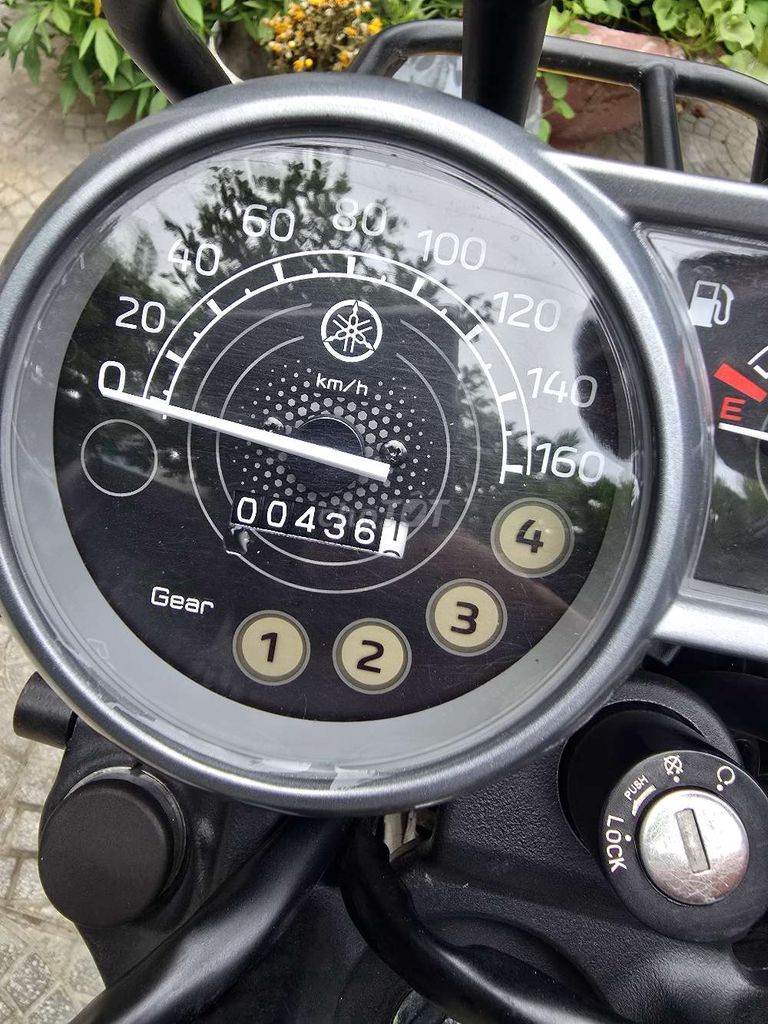 Yamaha PG 2025 - ảnh 4